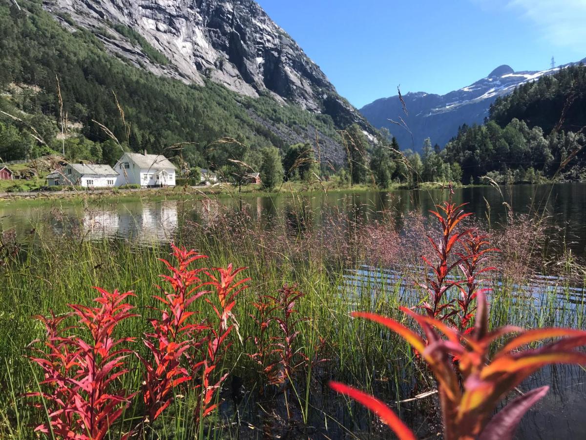 Villa Trolltunga Skjeggedal Exterior foto